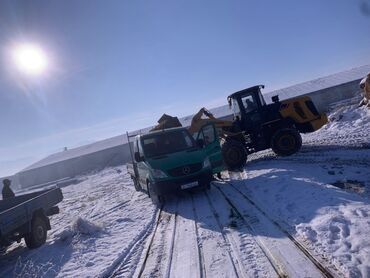 Корма для с/х животных: Силос кукурузный - Корм для КРС, МРС и свиноводства - Однородная — 1