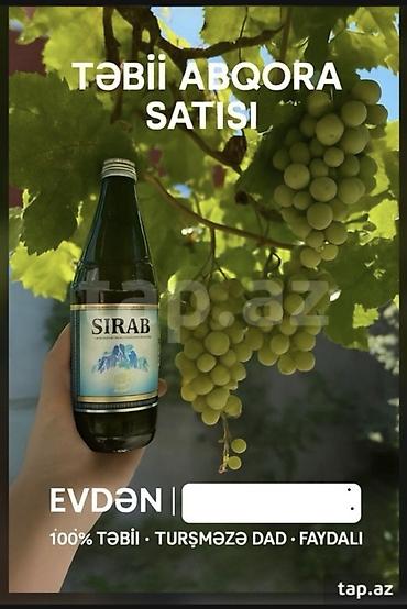 vellara çayı trendyol: Təbii abqora – evdə hazırlanmış, 100% təbii üzüm şirəsi (yaşıl — 2