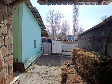 Продажа коттеджей и домов: Продаётся дом село Васильевка улица Комсомольская 221 на участке 18 — 6