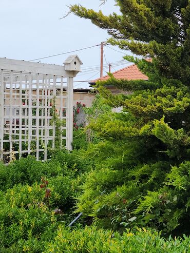 Bağ evlərinin kirayəsi: Şüvəlan qəs., 195 kv. m, 4 otaqlı, Hovuzlu, Qaz, İşıq, Artezian quyusu -da lalafo.az — 18 Bağ evlərinin kirayəsi: Şüvəlan qəs., 195 kv. m, 4 otaqlı, Hovuzlu, Qaz, İşıq, Artezian quyusu — 18