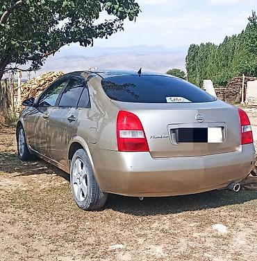 ai box: Nissan Primera: 2002 г., 2 л, Вариатор, Бензин, Седан — 3
