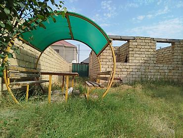 Tikinti — 2