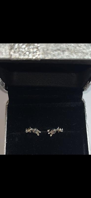 Sırğalar: Sırğa, Gümüş, Ünvandan götürmə — 2