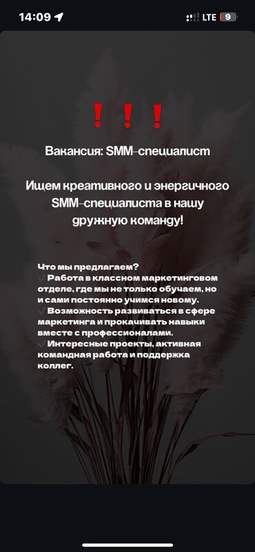 SMM-специалисты: SMM-специалист. Цум