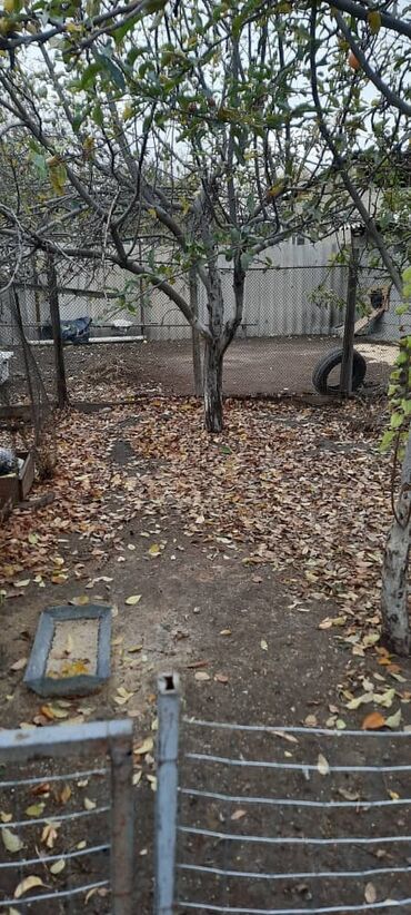 Продажа домов: Дом, 77 м², 4 комнаты, Агентство недвижимости, Косметический ремонт — 5