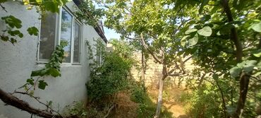 Həyət evləri və villaların satışı: 3 otaqlı, 120 kv. m, Yeni təmirli -da lalafo.az — 4 Həyət evləri və villaların satışı: 3 otaqlı, 120 kv. m, Yeni təmirli — 4