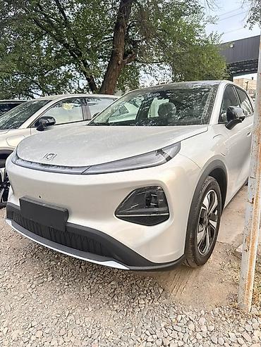 model y: Электромобиль (кроссовер), серебристый металлик. Кузов и дизайн: - — 2