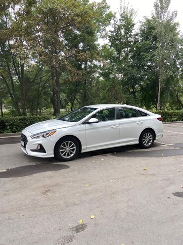 xyundai sanata: Hyundai Sonata: 2018 г., 1.6 л, Вариатор, Бензин, Седан