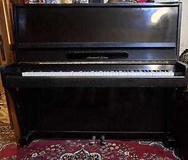 Piano, Rostov-Don, Akustik, İşlənmiş, Ünvandan götürmə