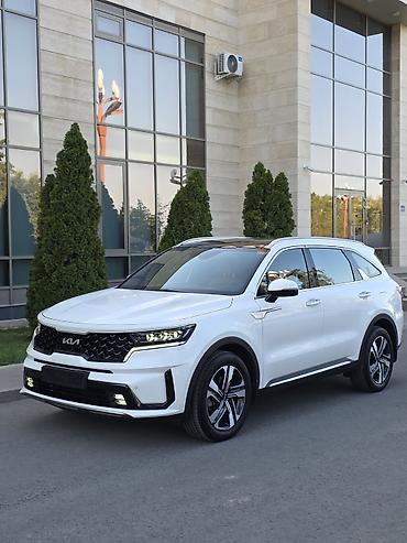 Kia: Kia Sorento: 2022 г., 1.6 л, Автомат, Гибрид, Кроссовер — 28