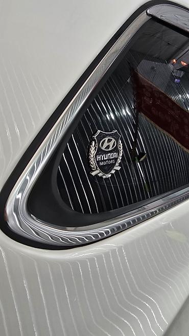 Hyundai: Hyundai Santa Fe: 2017 г., 2.2 л, Автомат, Дизель, Кроссовер — 27