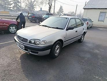 Toyota: Toyota Corolla: 2001 г., 1.6 л, Автомат, Бензин, Хэтчбэк — 3