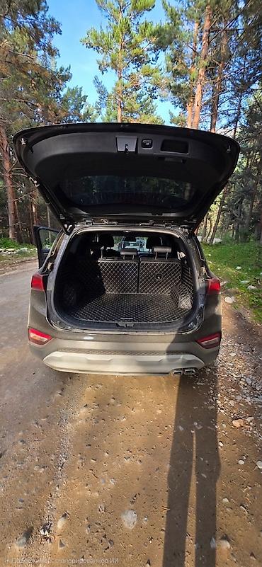 santa fe 2010: Hyundai Santa Fe: 2019 г., 2.2 л, Автомат, Дизель, Кроссовер — 6