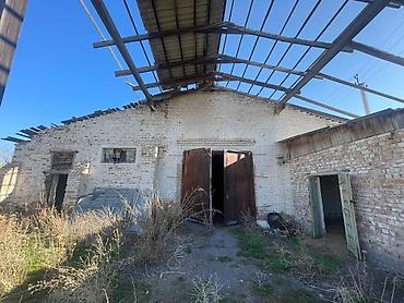 Продажа коттеджей и домов: 3 комнаты, 50 м², 35 соток, Бишкек, Собственник at lalafo.kg — 12 Продажа коттеджей и домов: 3 комнаты, 50 м², 35 соток, Бишкек, Собственник — 12