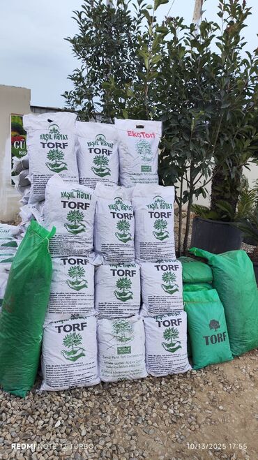 Şitillər: Dekarativ bitgilerin satişi — 20