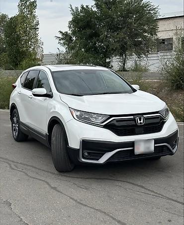суппорт аккорд: Honda CR-V: 2020 г., 1.5 л, Автомат, Бензин, Кроссовер — 2