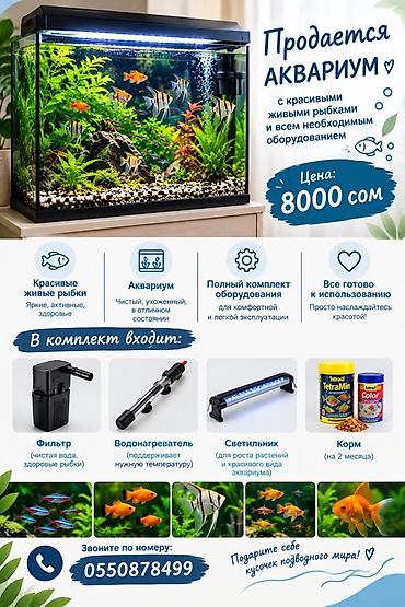 купить клетку для декоративного кролика: Аквариум с живыми рыбками и полным набором оборудования Объемный — 1