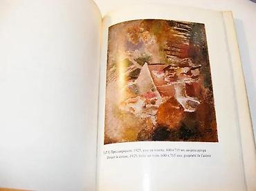Knjige: Marko Čelebonović Stanislav ŽivkovićDimenzije: 17 x 22 cmIzdavač — 5