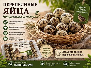 амур рыба: Продаю домашнее перепелов и перепелиные яицо — 2