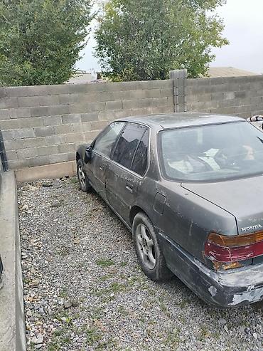 Продажа авто: Honda Accord: 1990 г., Механика, Седан — 4