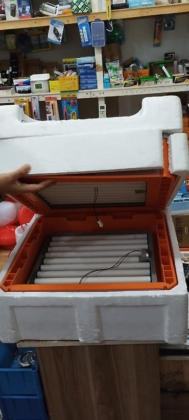 Kənd təssərüfatı avadanlığı: Inkubatorlarin birinci əl satişi unversal inkubator inkubator 196 — 4