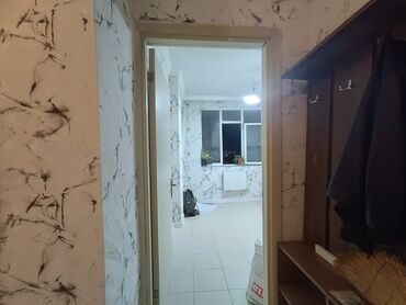 Yeni tikili: Studiya, Yeni tikili, 40 kv. m — 7