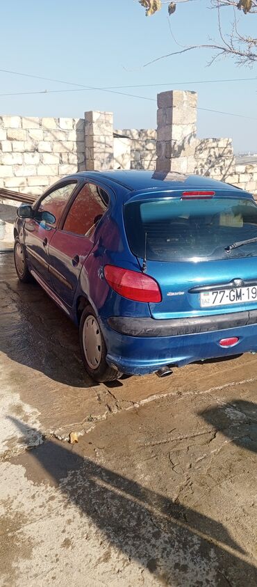 Peugeot: Peugeot 206: 1.4 l | 2008 il 99 km Hetçbek