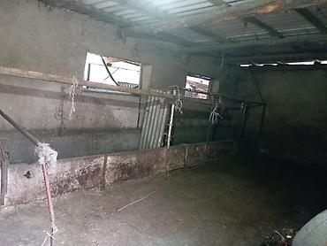 Распашные ворота: Продается большой дом с ПОДВАЛОМ! Панфиловский район, с.Чалдовар ул — 24