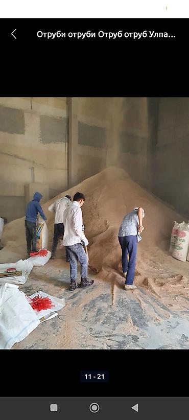 Корма для с/х животных: Улпак отруби кебек оптом - Натуральные отруби крупного и среднего — 11