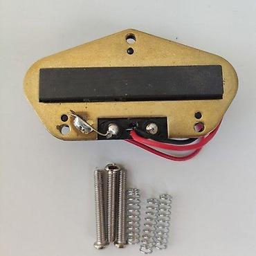 Gitare: MAGNETI ZA TELECASTER - CENA JE ZA KOMPLET | . Slanje po — 6