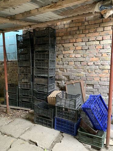 пластиковые ящики для фруктов и овощей цена: Пластиковый Ящик, Б/у