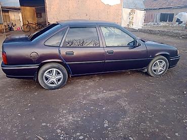 тнвд опель: Opel Vectra: 1994 г., 1.8 л, Механика, Бензин, Лифтбек — 1