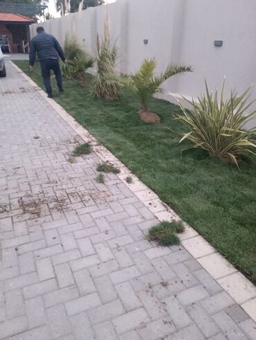 Ağaclar: BuQazon sivarisi
catrlmasi qurasdrmasi
en gozel qazon bizdedir — 3