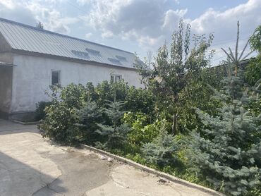 продаю дом село беловодское: Продается дом с готовым бизнесом (Гостевой дом с магазином)