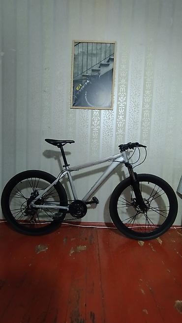 Şəhər/velosiped - Çərçivə: yüngül metal hardtail, daxili kabel keçidi