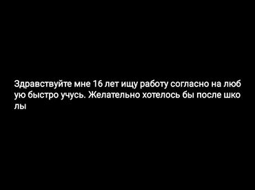 аренда помещение кафе: Талап кылынат Официант Тажрыйбасыз, Төлөм Күнүмдүк