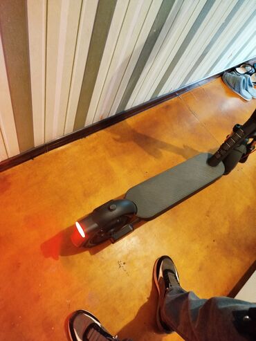 Elektrikli samokatlar: Yeni Elektrik samokat 10", 501 - 750 Vt, 16 - 25 km/s, Ünvandan götürmə, Pulsuz çatdırılma — 3