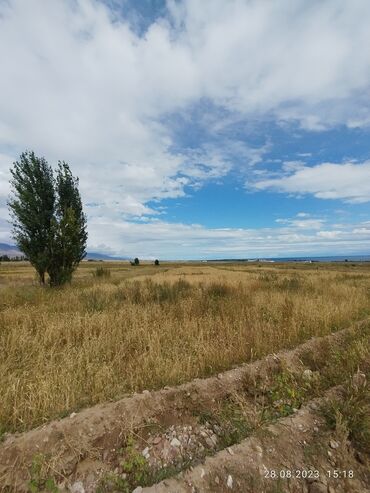 Продажа участков: 66 соток, Для сельского хозяйства, Тех паспорт, Договор купли-продажи, Генеральная доверенность — 2