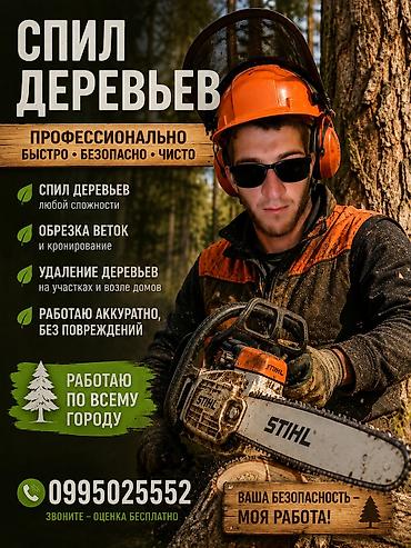 Спил деревьев — профессионально, быстро, безопасно и чисто. Услуги: -