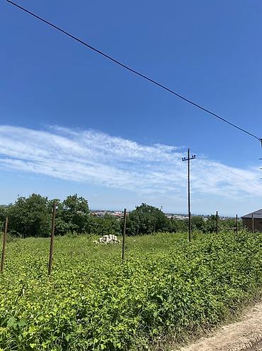 mehdiabad torpag: 7 sot, Tikinti, Mülkiyyətçi, Kupça (Çıxarış) — 3