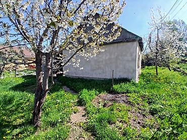 Продажа дач: Продаётся участок с небольшим одноэтажным домом и хозпостройками в — 10