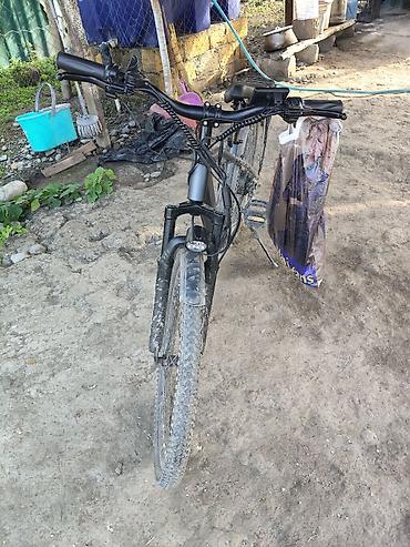 electro moto: Şəhər və kənd yolları üçün elektrik velosipedi - Rəng: qara/grafit - — 1