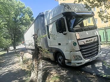 vip razbor: Тягач, DAF, 2019 г., Тентованный — 6