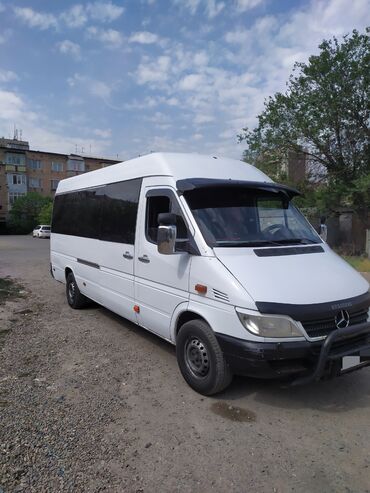 боковые: Mercedes-Benz Sprinter: 2001 г., 2.2 л, Механика, Дизель, Бус