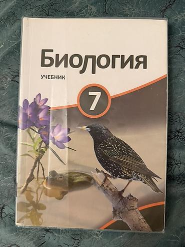 Школьные учебники: Каждая книга по отдельности стоит 5 манат. Her kitab 5 manatdir — 2