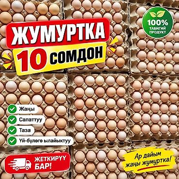яйца индюшат: Оптом яйцо от 10 сом 
всегда свежие — 1