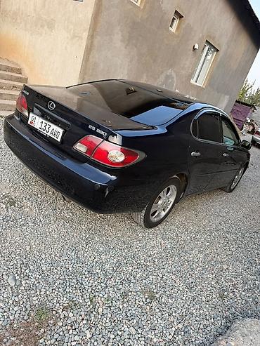 таёта эхо: Lexus ES: 2004 г., 3.3 л, Автомат, Газ, Седан — 6