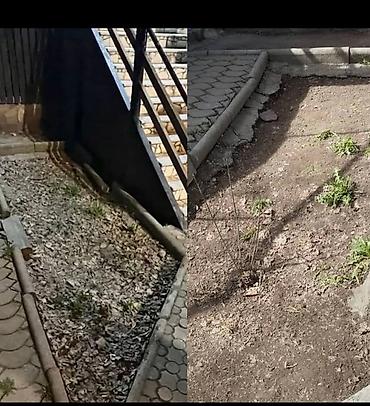 Уборка территории: Уборка территории, Уборка двора и сада — 19