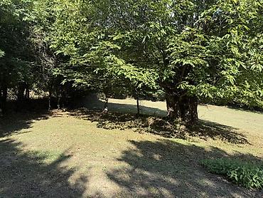 Torpaq sahələrinin satışı: 35 sot, Kənd təsərrüfatı, Mülkiyyətçi, Müqavilə — 12