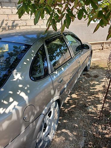 Opel: Opel Vectra B sedan - Kuzov: 4 qapılı sedan, boz rəng - Mühərrik və — 1